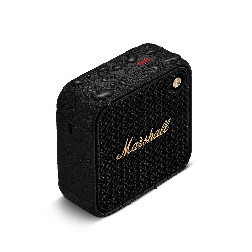 Marshall Willen II: ДИЗАЙН, НЕПОДВЛАСТЕН НА СТИХИИТЕ